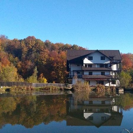 Dumbrava Soarelui Hotel Brassó Kültér fotó
