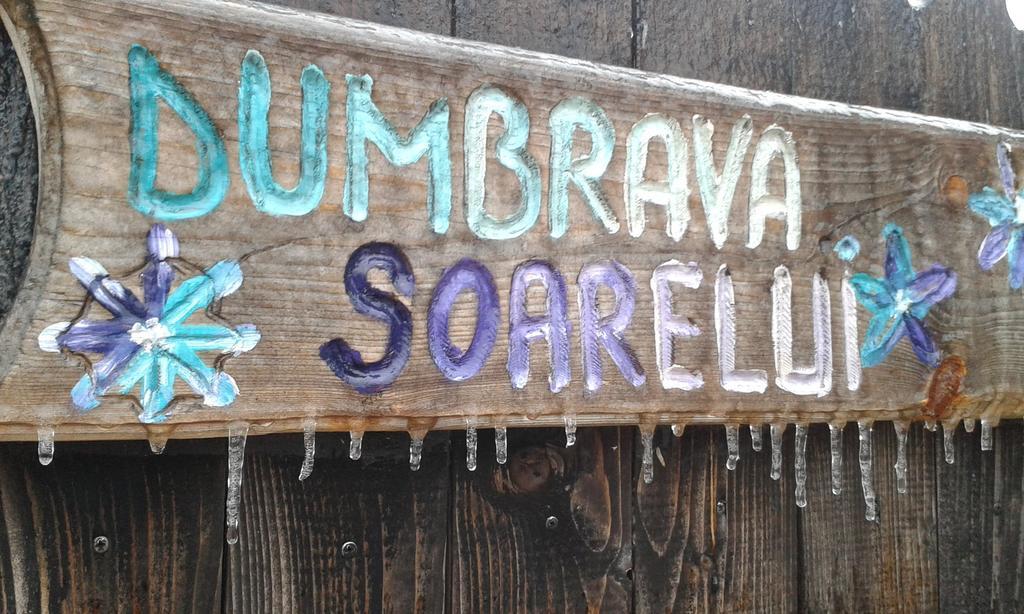 Dumbrava Soarelui Hotel Brassó Kültér fotó
