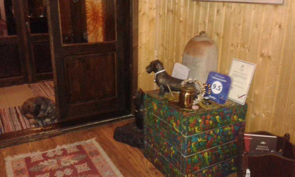 Dumbrava Soarelui Hotel Brassó Kültér fotó