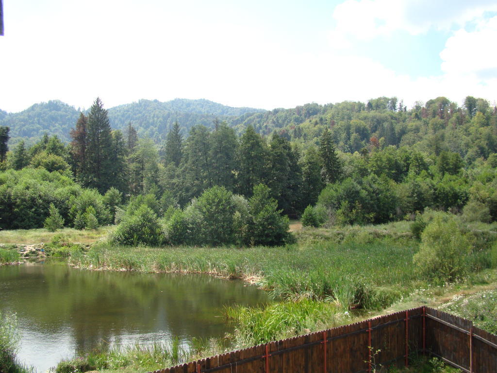 Dumbrava Soarelui Hotel Brassó Szoba fotó