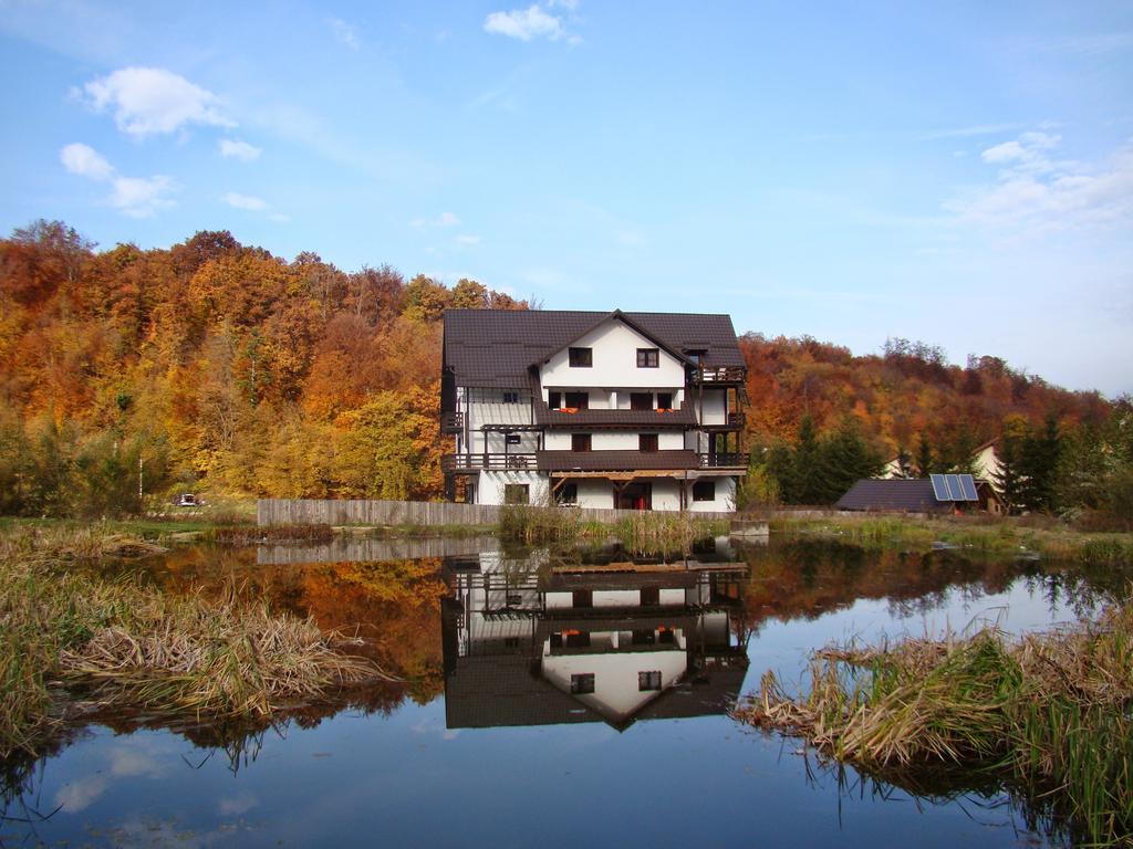 Dumbrava Soarelui Hotel Brassó Kültér fotó